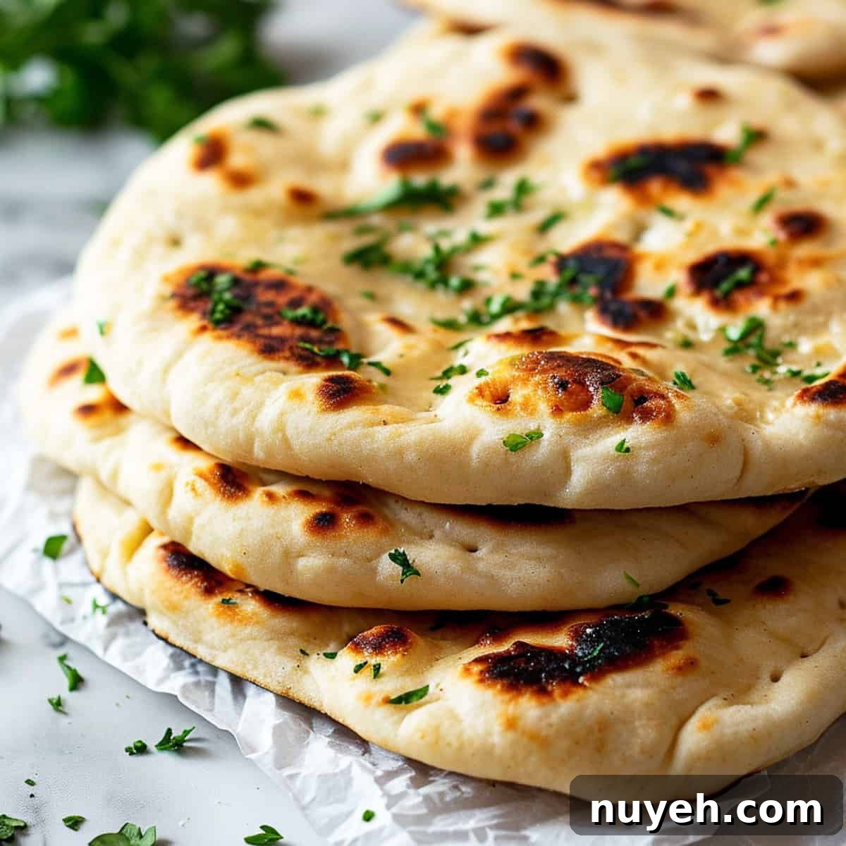 featured 1716