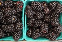 How to Can Homemade Blackberry Apple Jam