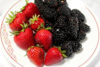 Sugar-Free Keto Strawberry and Blackberry Sauce