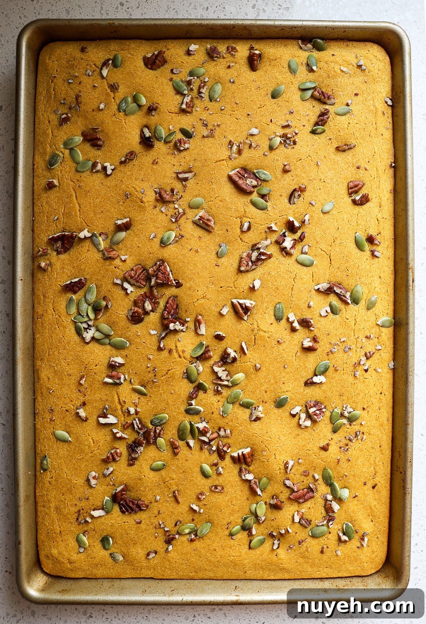 top down view of pumpkin sheet pan pancakes with pumpkin seeds and pecans on top