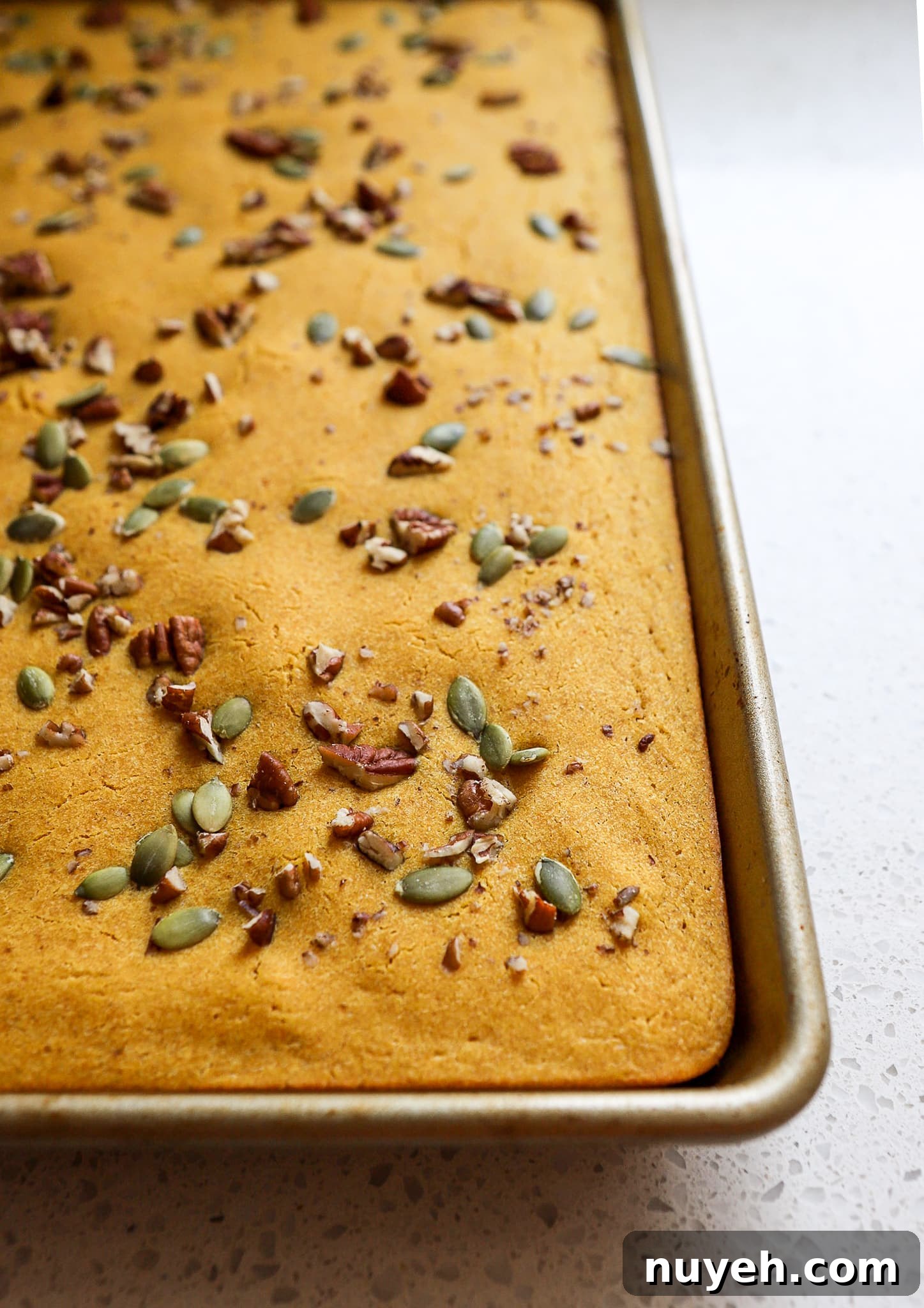 Side angle of pumpkin spice pancakes in baking sheet with pecans and pumpkin seeds on top.