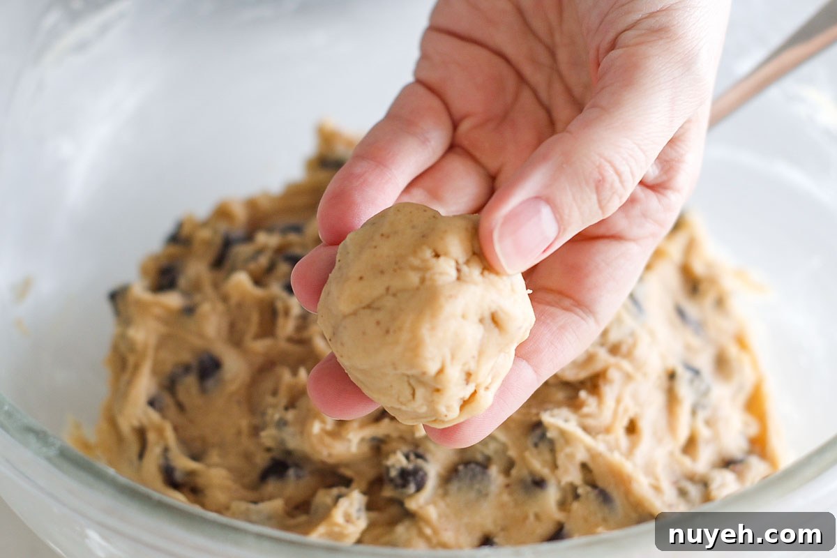 Hand holding a shaped dough ball.