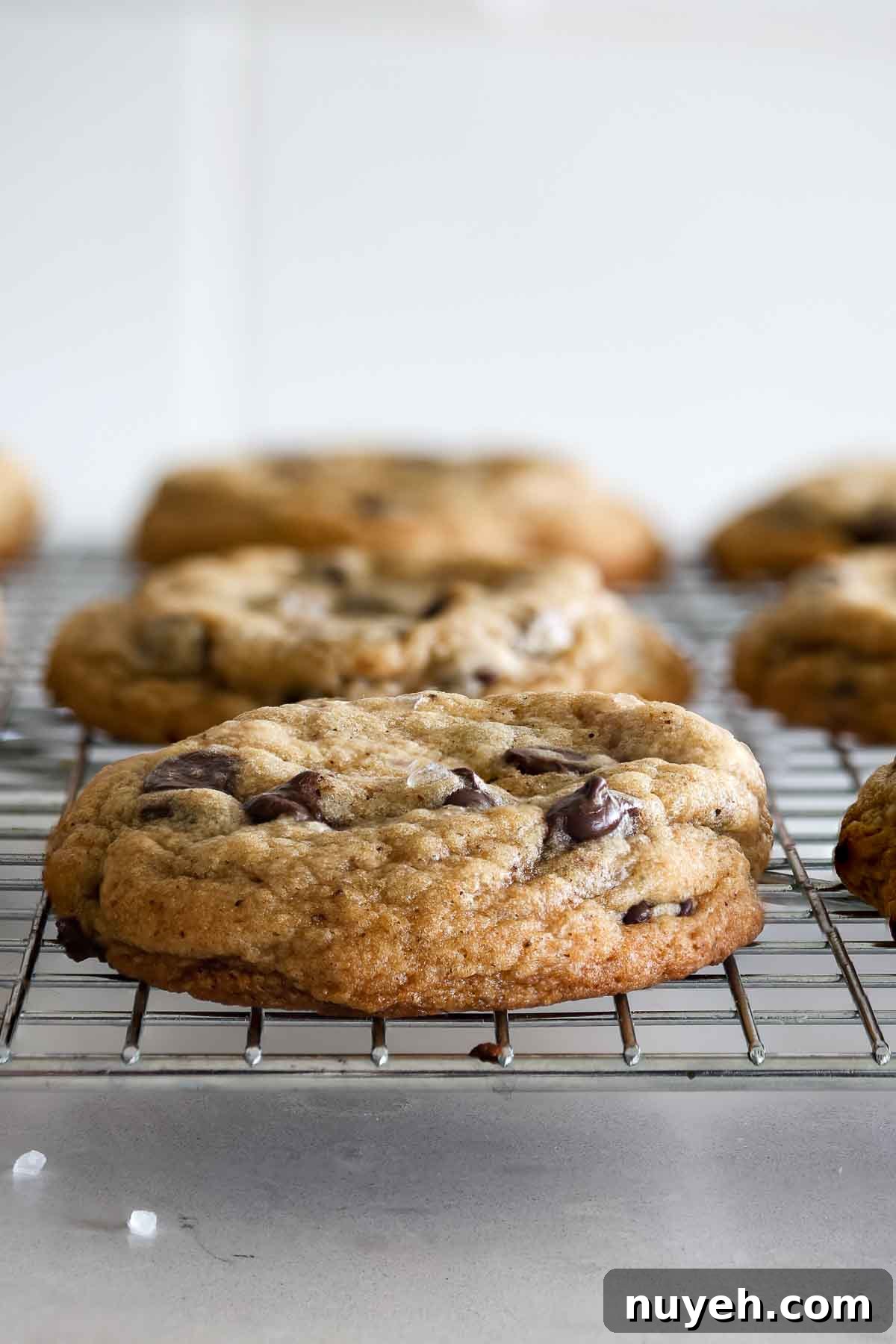 A sourdough brown butter chocolate chip cookie with sea salt flakes.