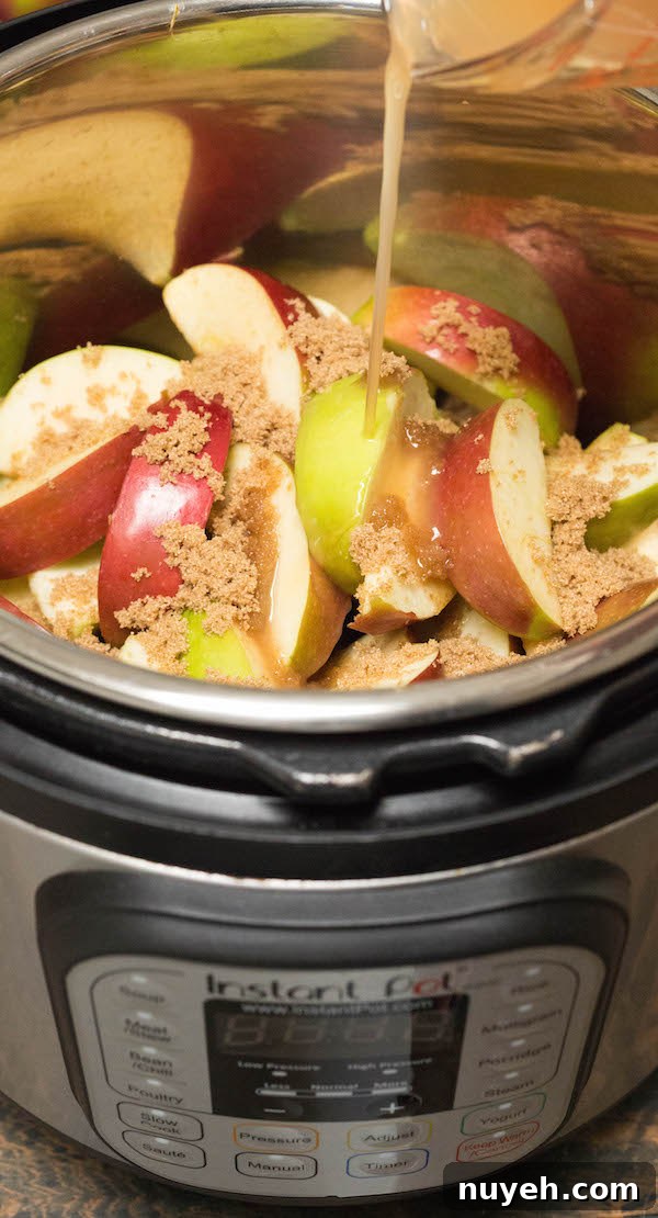 How To Make Instant Pot Apple Butter