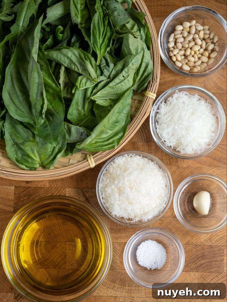 Basil pesto ingredients