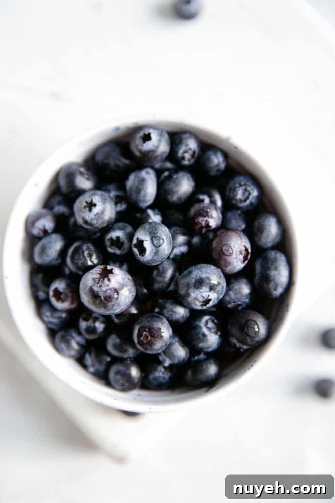 Overhead shot of small white bowl with fresh blueberries