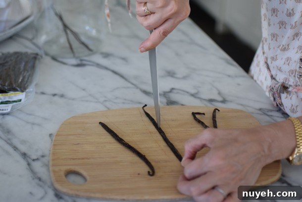 split the vanilla beans | pamela salzman