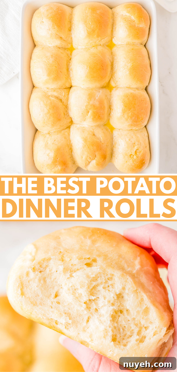 A tray of twelve golden potato dinner rolls. A hand holds one roll, showing soft texture.