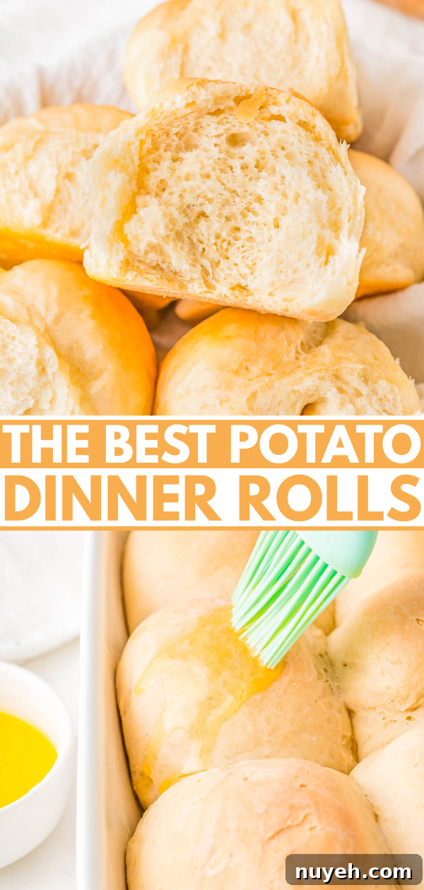 Close-up of potato dinner rolls with a brush applying melted butter.