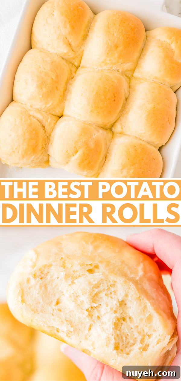 Golden potato dinner rolls in a baking dish and a hand holding one roll with a bite taken out.