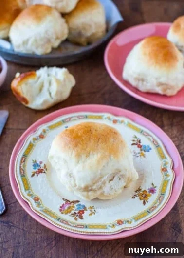 A fresh biscuit served on a floral-patterned plate.
