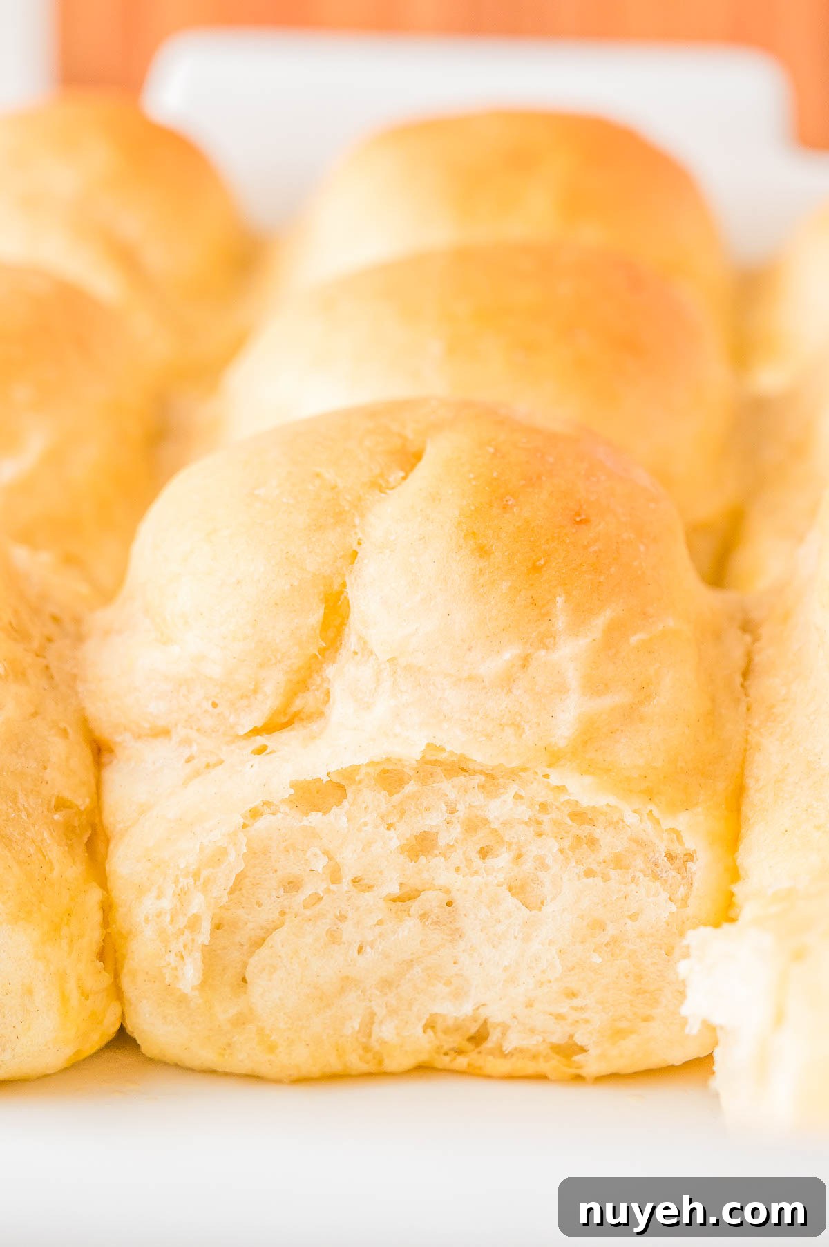 Close-up of freshly baked golden dinner rolls in a baking dish, showcasing a soft and fluffy texture.