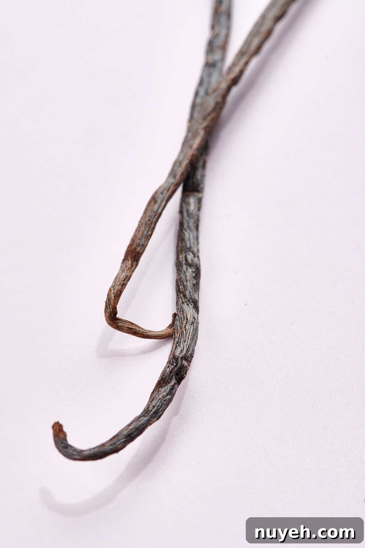 Whole vanilla beans on white table.