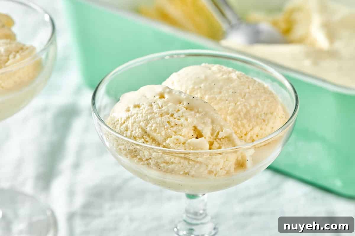 No Churn Ice Cream in a long-stemmed glass.