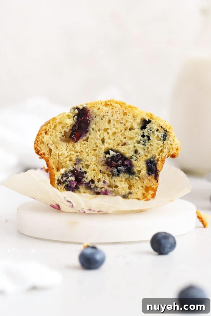 Gluten-free blueberry muffin