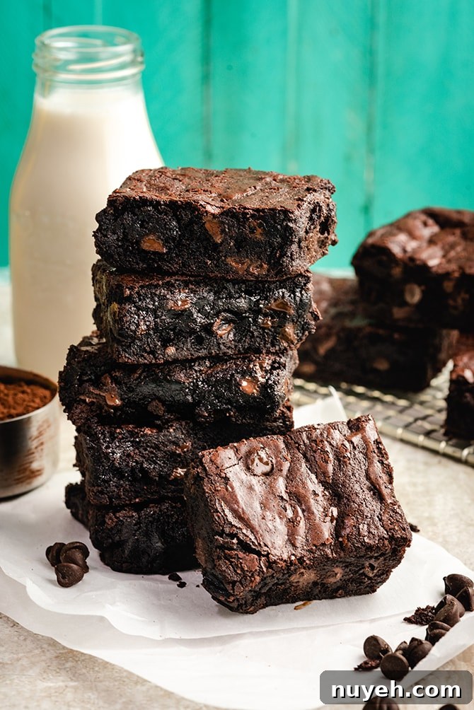 Brownies studded with chocolate chips