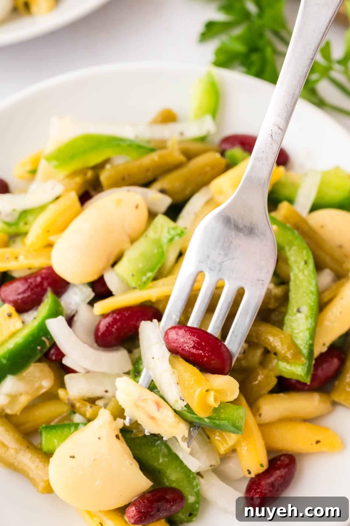 The salad on a plate with a fork.