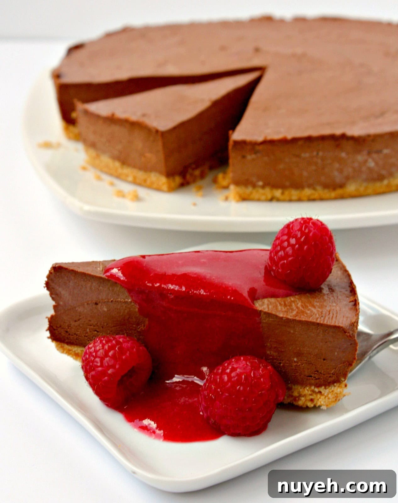 13 Irresistible Cheesecake Recipes You Need to Try 10 img 1419 10