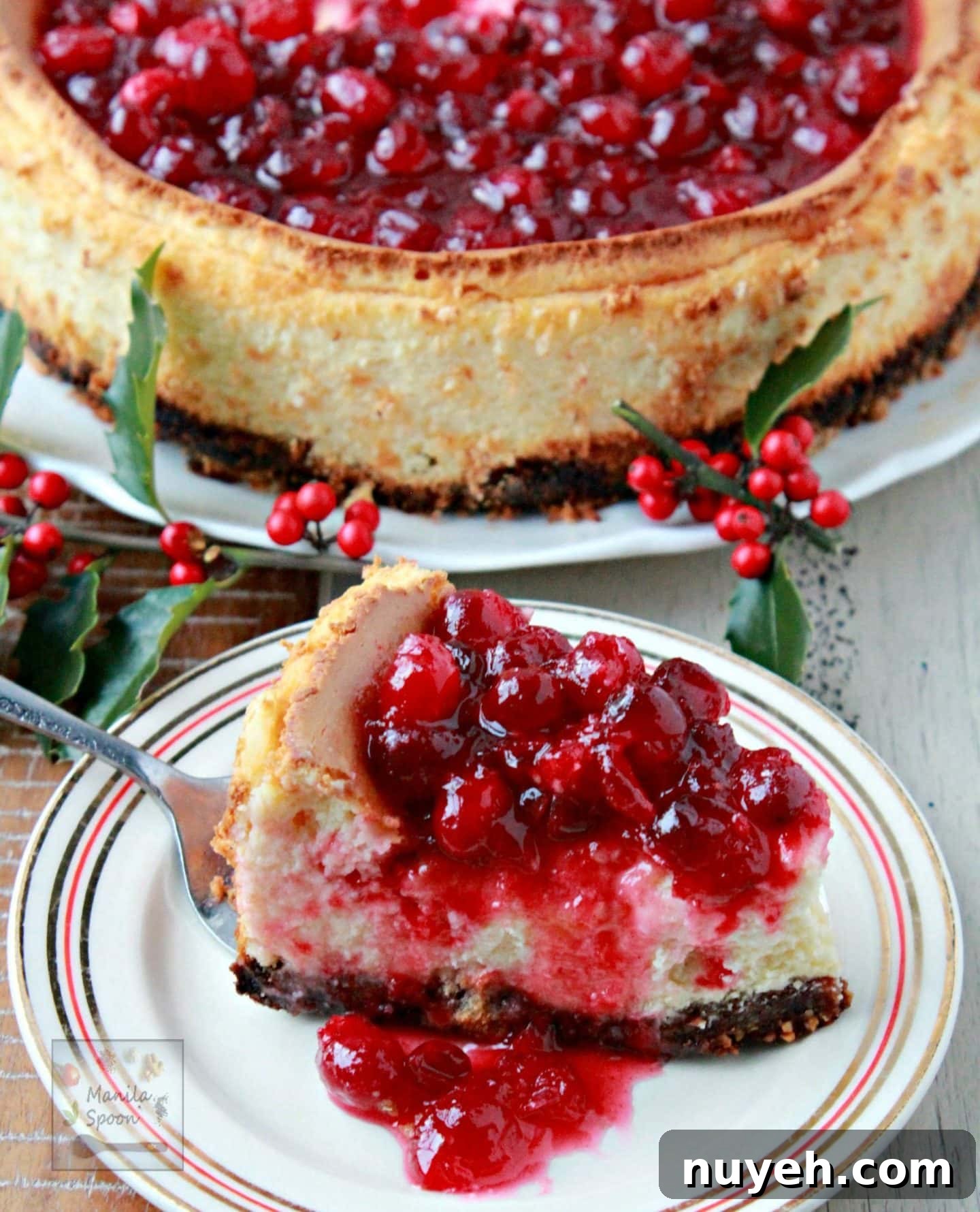 13 Irresistible Cheesecake Recipes You Need to Try 15 img 1419 15