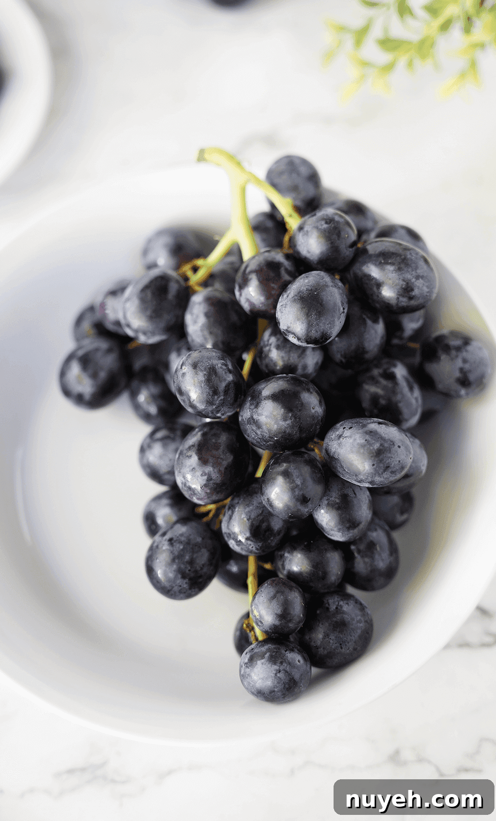 Sun World Black Grapes on white plate
