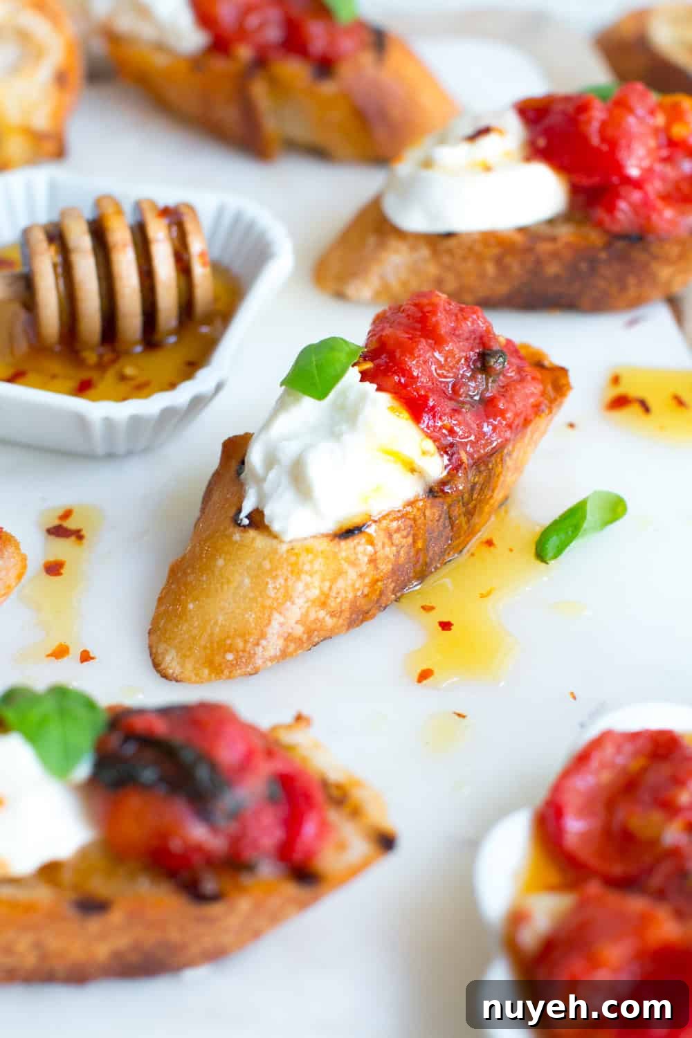 Tomato Confit Burrata Crostini
