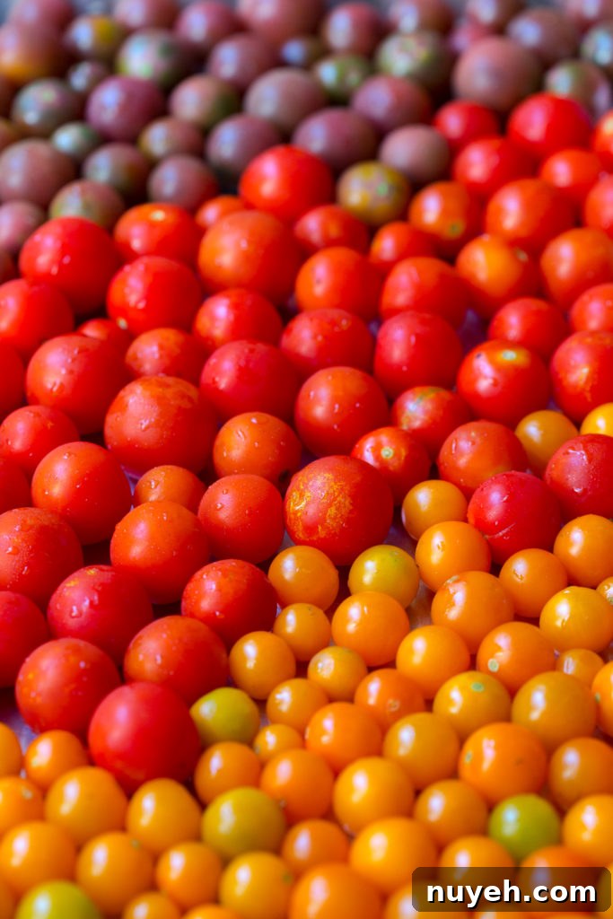 Santa Barbara Farmers Market Cherry Tomatoes