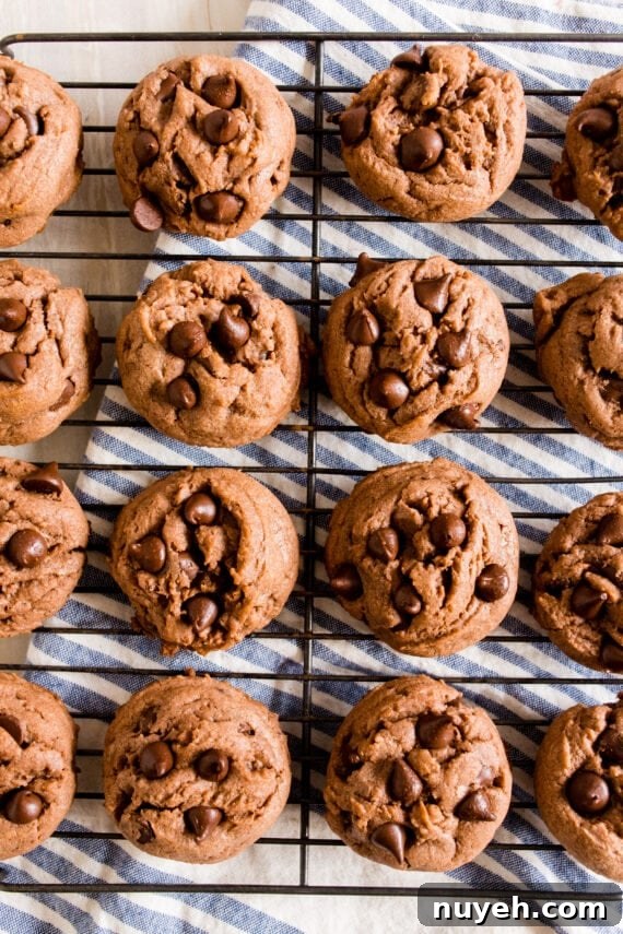 Soft Double Chocolate Pudding Cookies Recipe
