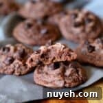 Soft Double Chocolate Pudding Cookies