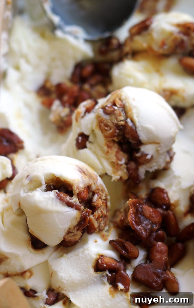 cinnamon basil and pine nut praline ice cream