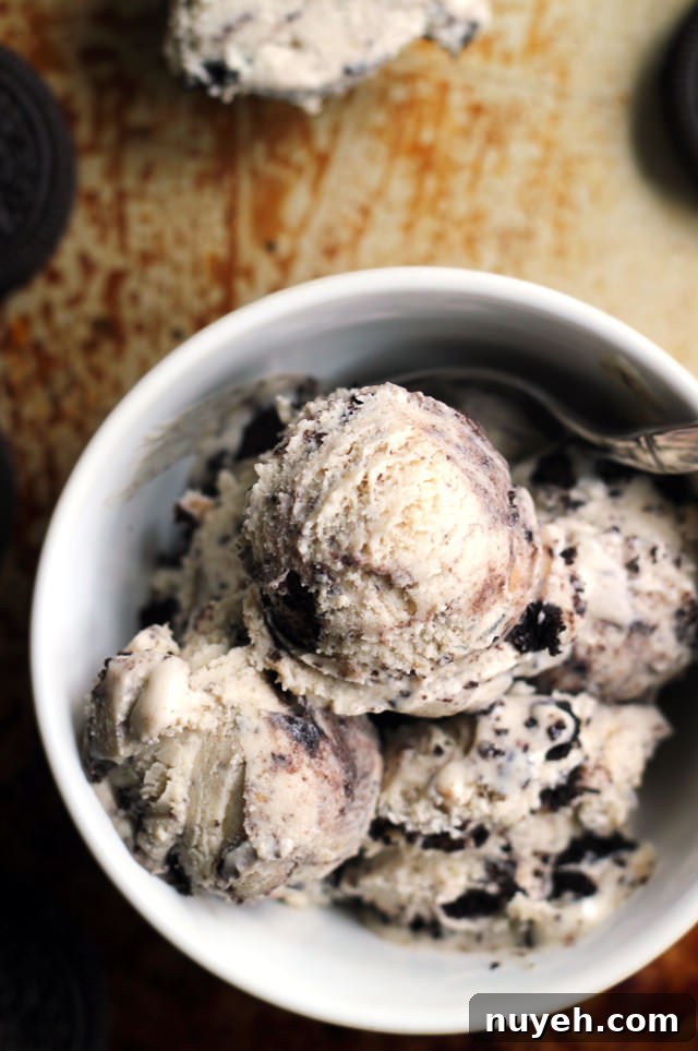 peanut butter oreo ice cream