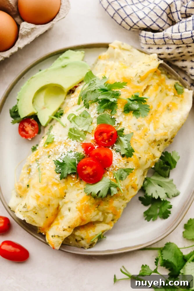 A plate with breakfast enchiladas garnished with cilantro, avocado and tomatoes.
