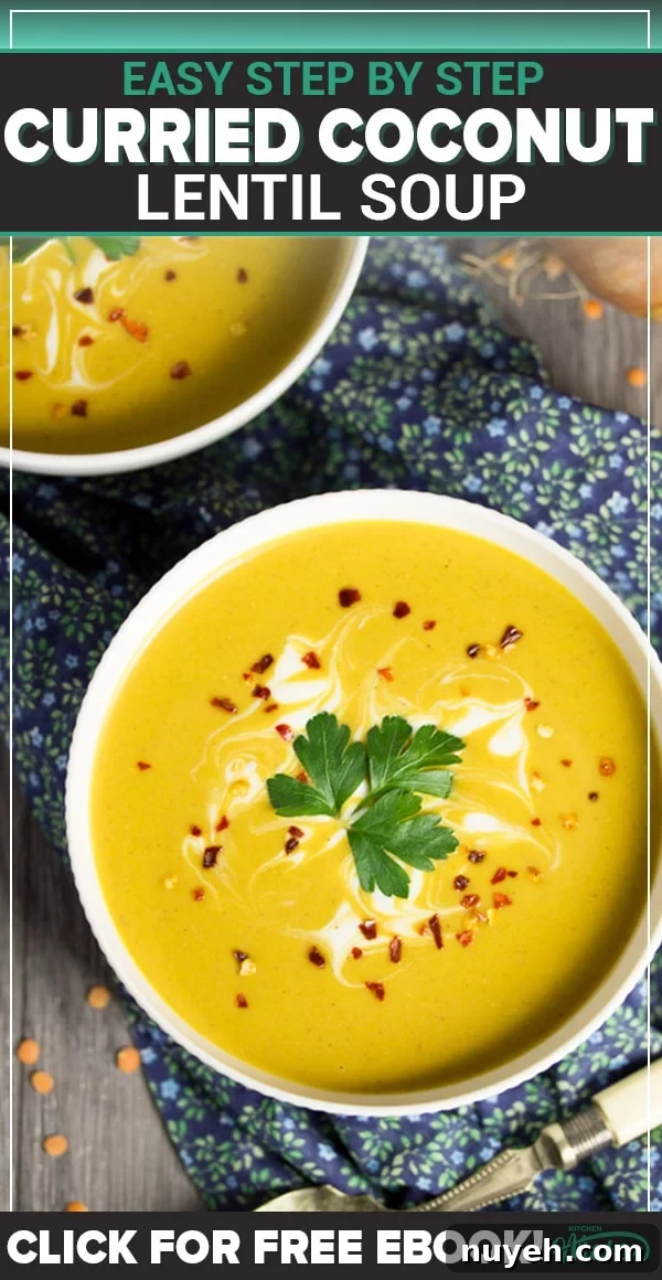 curried coconut lentil soup in a bowl with parsley and chilli flakes on top