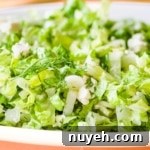 Closeup side view shot of Prasini salad in a white dish.
