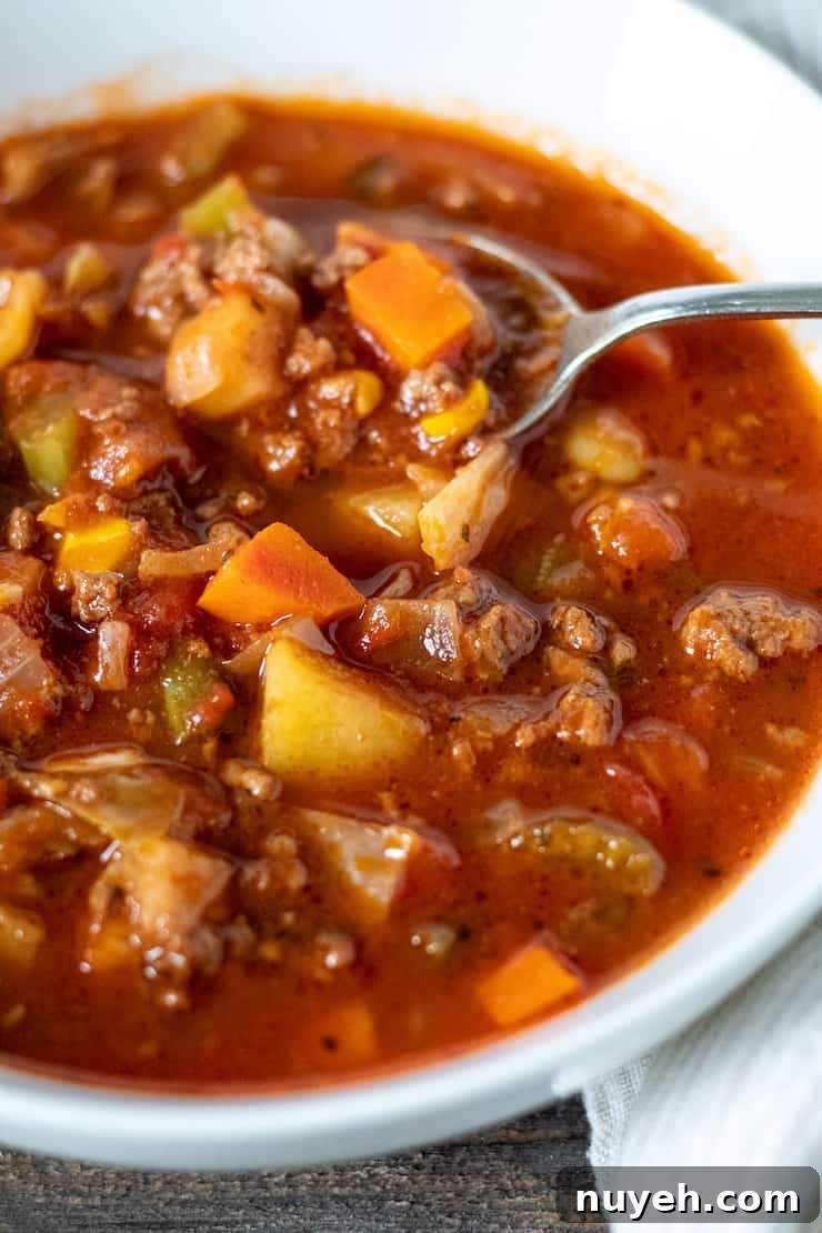 Close up of soup in bowl with spoon.