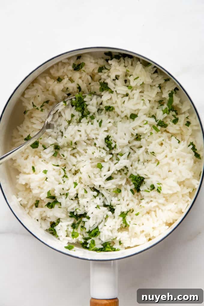 rice with cilantro in a white pot