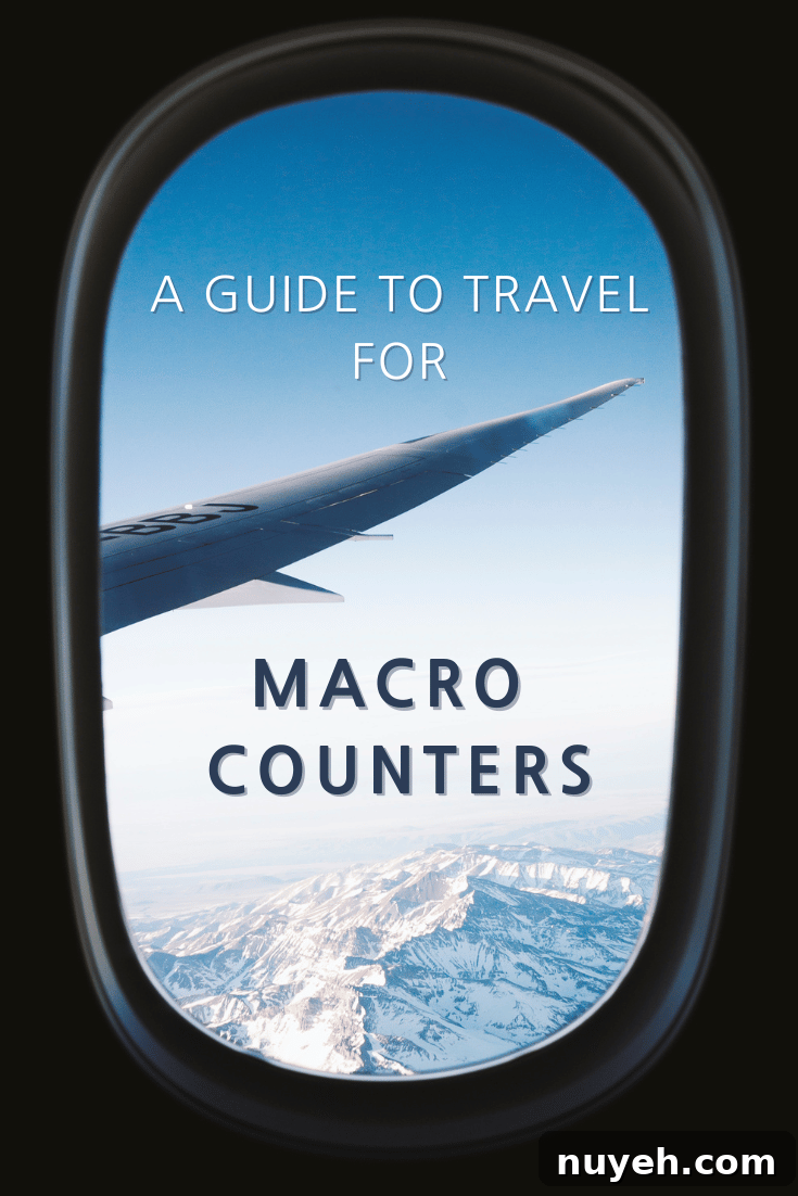 Looking out the window of an airplane with text "A Guide to Travel for Macro Counters"