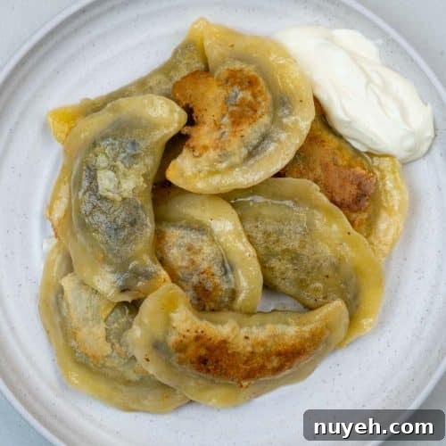 Authentic Polish Sauerkraut and Mushroom Pierogi Recipe 11 Mushroom & Sauerkraut Pierogi