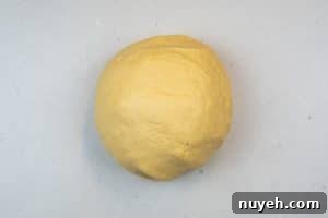 Authentic Polish Sauerkraut and Mushroom Pierogi Recipe 14 Making the dough