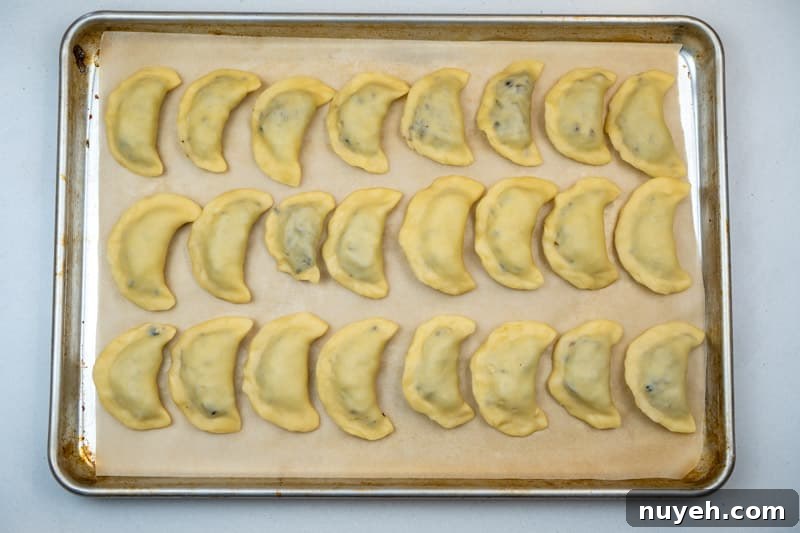 Authentic Polish Sauerkraut and Mushroom Pierogi Recipe 8 Assembled pierogi
