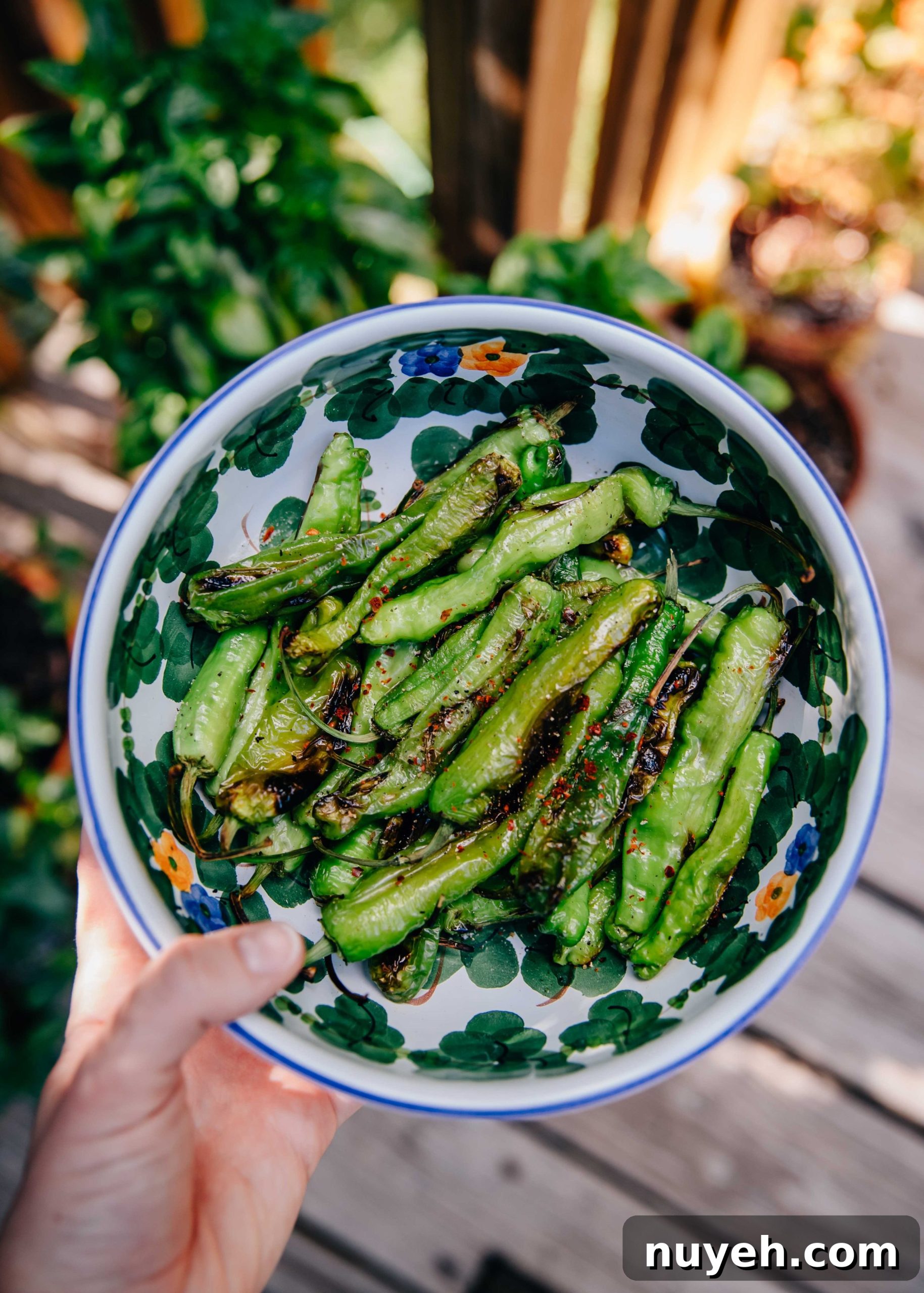 Charred Shishito Peppers blistered and served with creamy soy-lime sauce