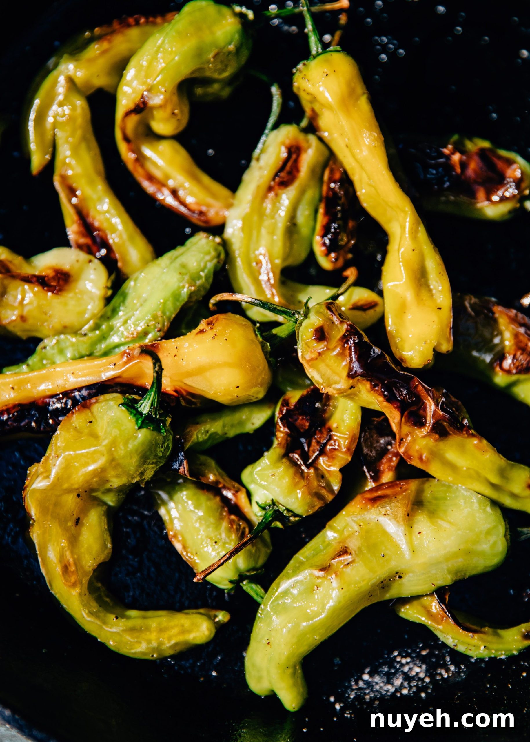 Charred Shishito Peppers on a plate
