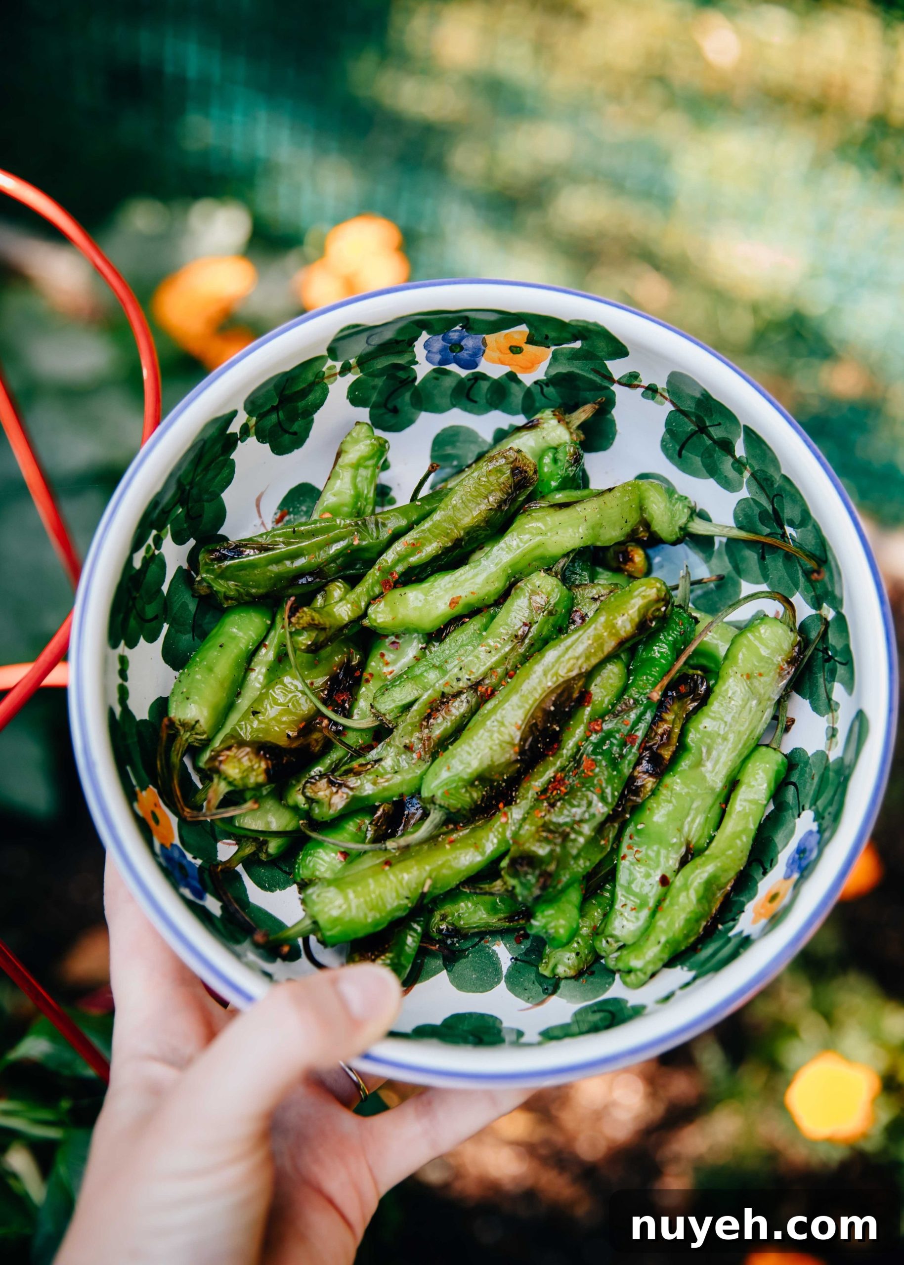 Blistered Shishito Peppers served warm