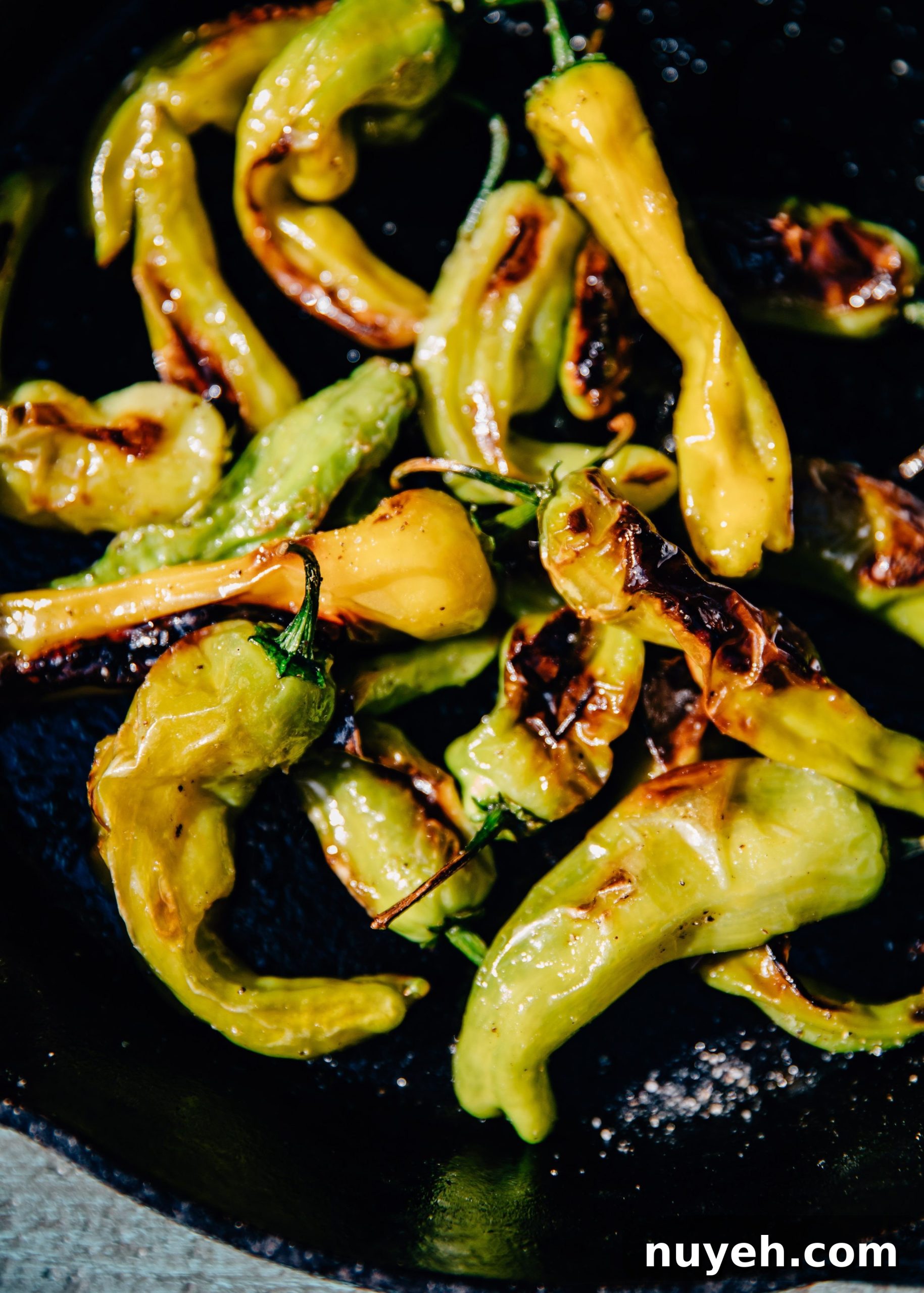 Charred Shishito Peppers plated