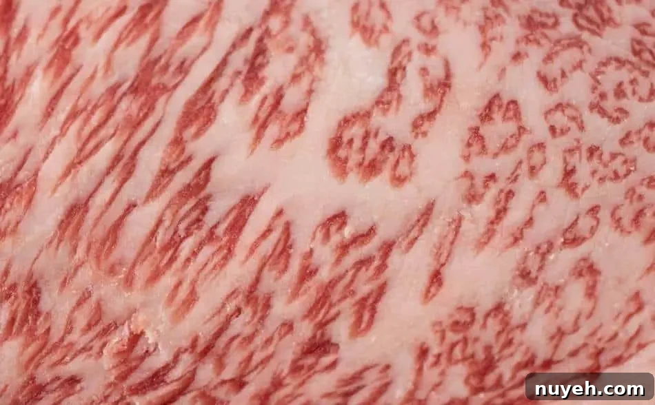 Brisket Marbling: Why It Matters and How to Spot It 2 img 1698 1