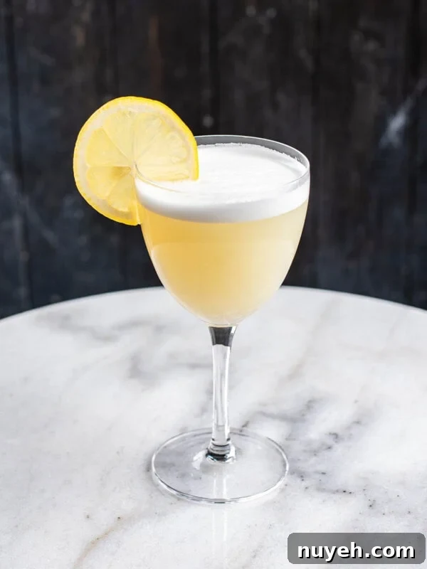 Tequila and Mezcal Sour