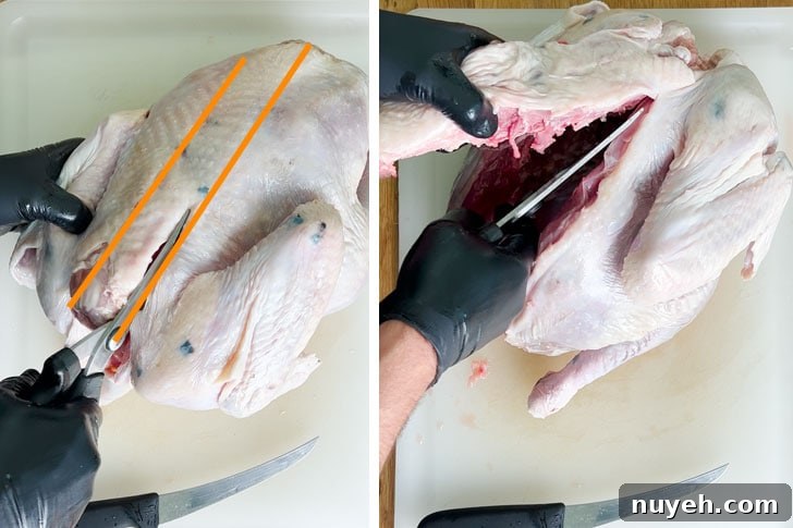spatchcock turkey - remove the backbone