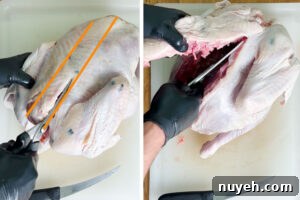 spatchcock turkey - remove the backbone