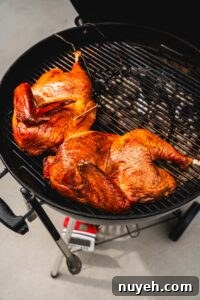 turkey on the grill with thermometer