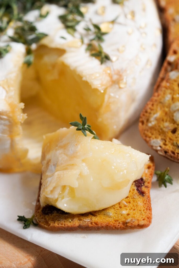 Air Fryer Baked Brie with Honey and Thyme 3 closeup shot of air fried brie with honey and fresh thyme on a small cracker.