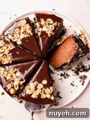 sliced nutella cheesecake with chocolate ganache and chopped hazelnuts